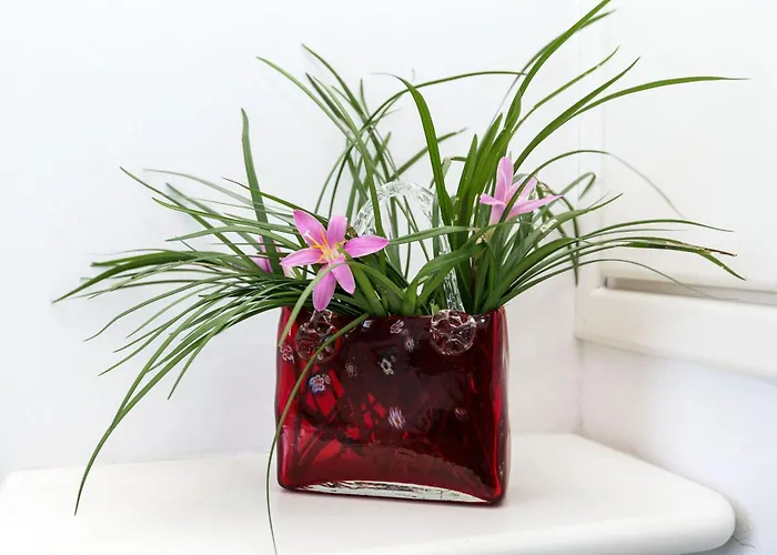 Liza 2 Villa Albarella Island